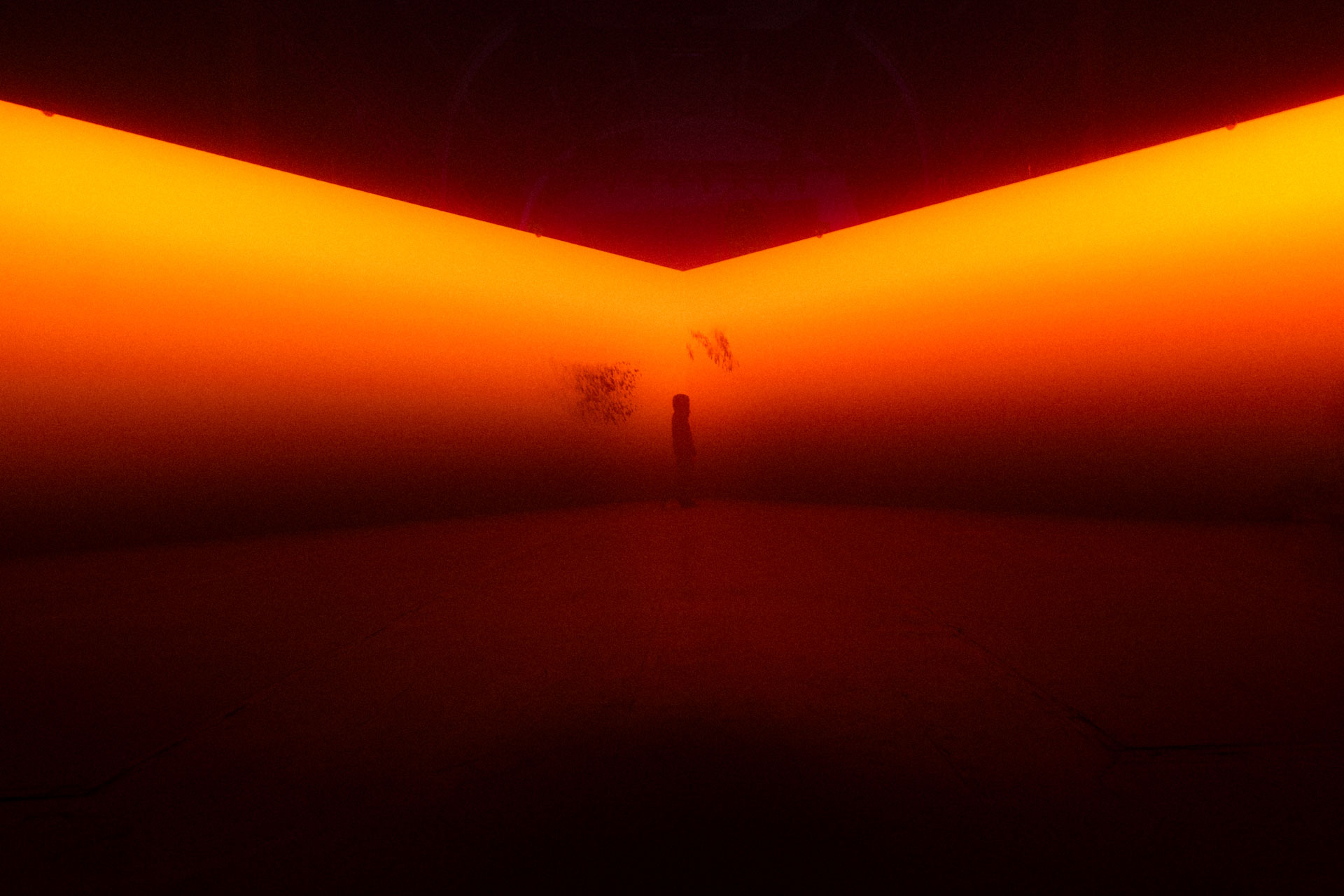 Exhibizz visitor interaction zone