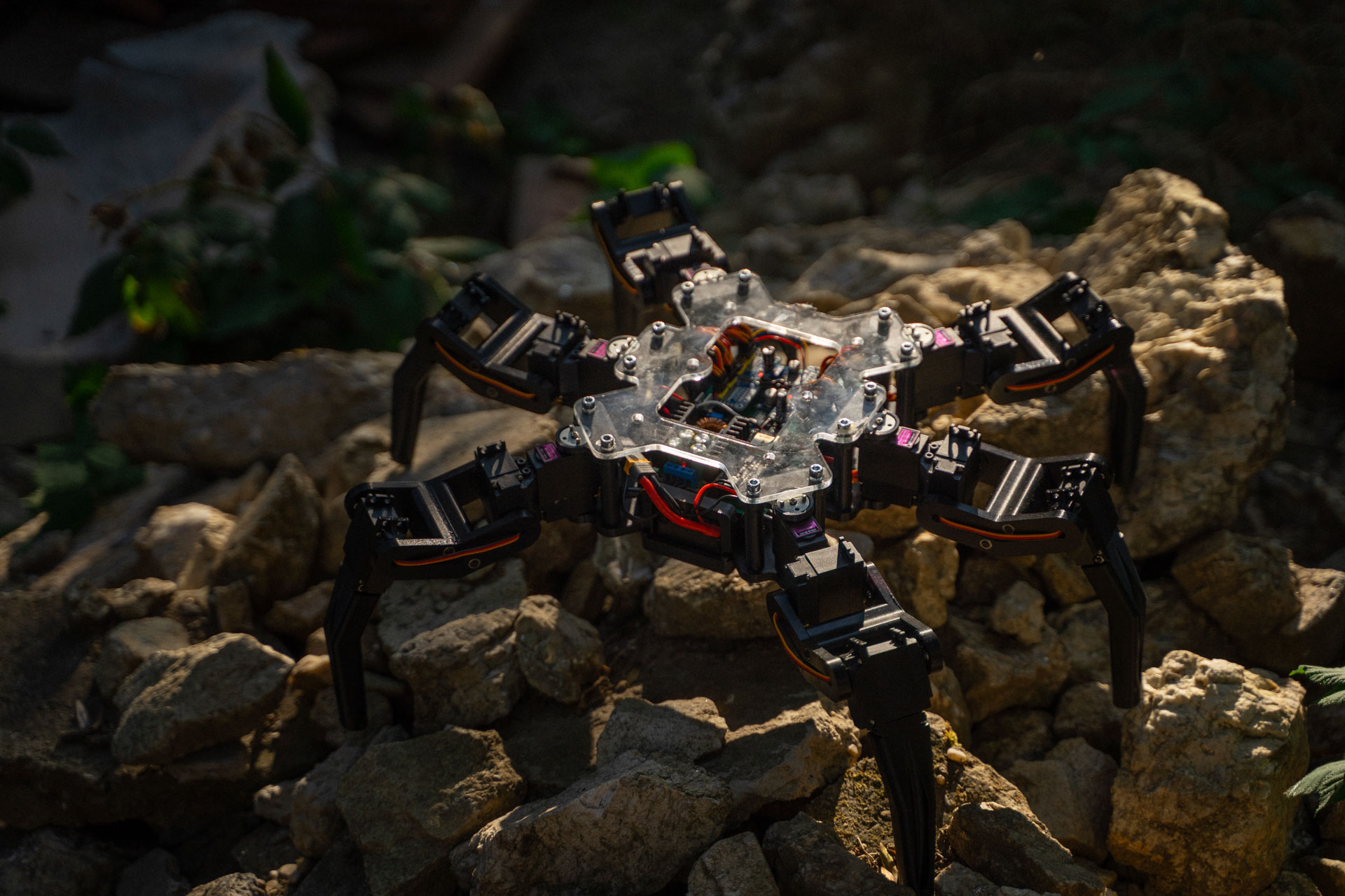 System autonomous robot outdoors