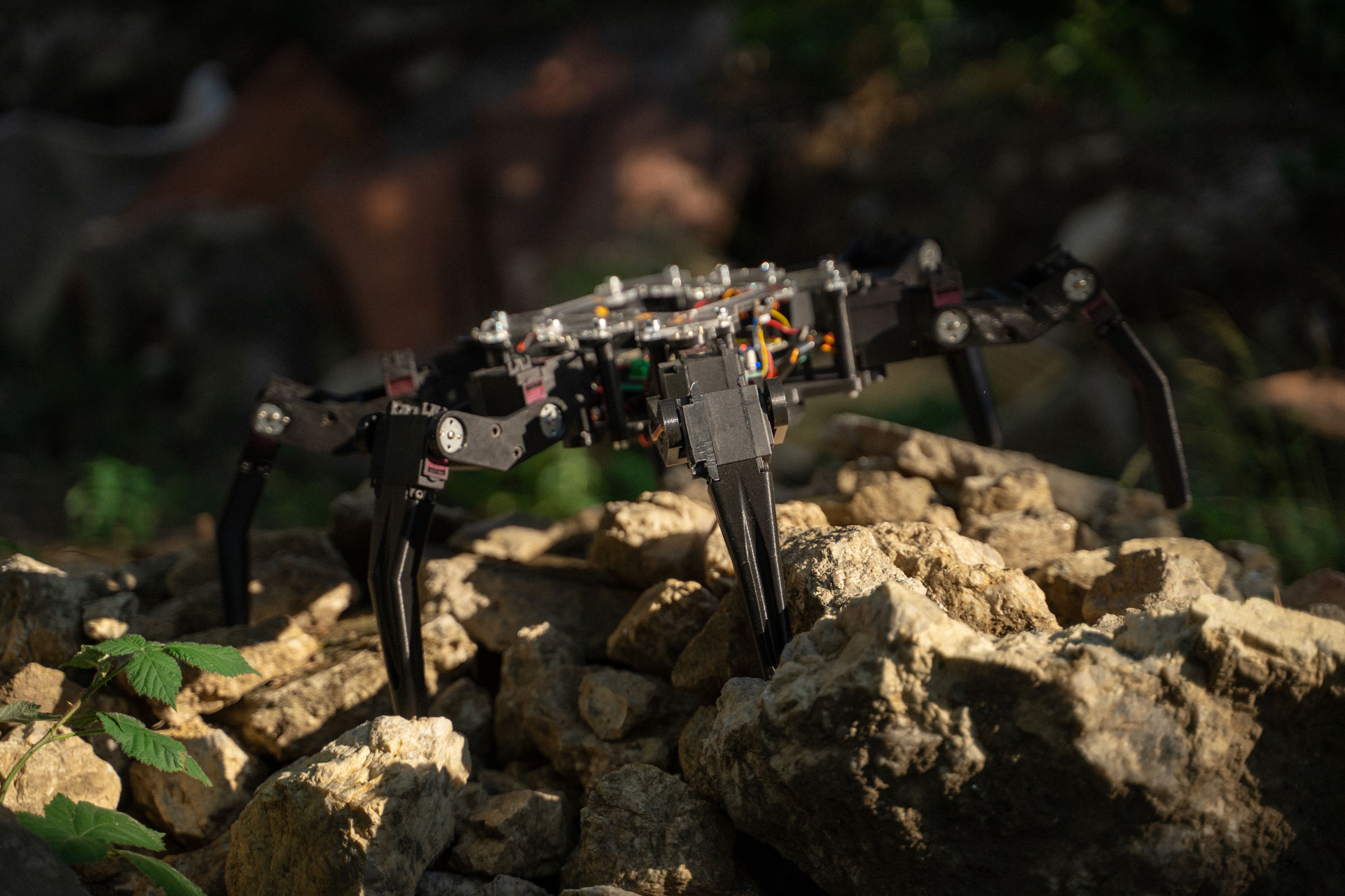 System robot in natural environment