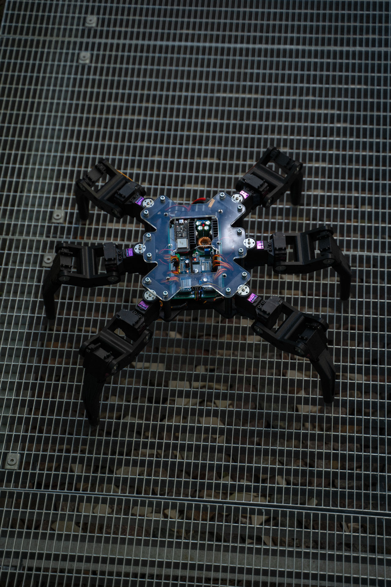 System autonomous robot in landscape